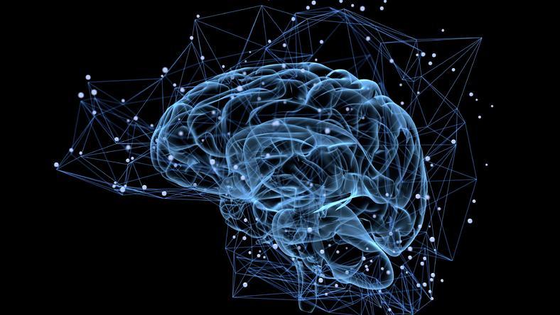 我们的思维,到底有多脆弱?